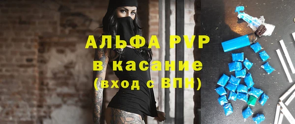 гашик Россошь