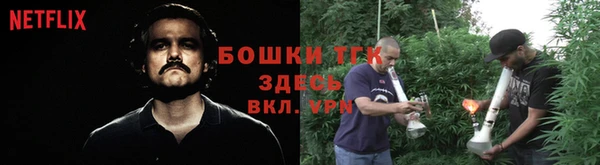 тгк Алексин