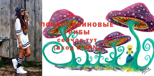 тгк Алексин