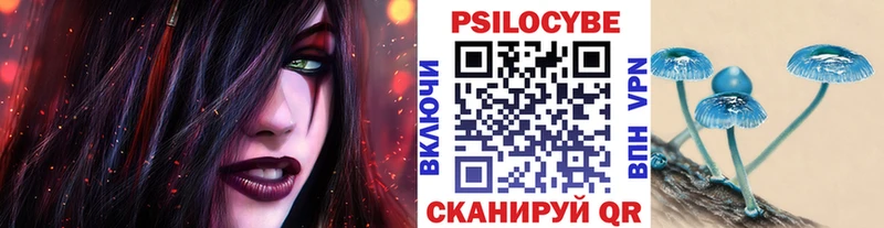 Псилоцибиновые грибы GOLDEN TEACHER Закаменск